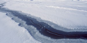 Antarctique : une immense barrière de glace se désintègre