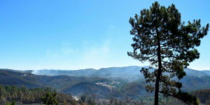 Gard : l’incendie des Cévennes ne progresse plus