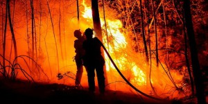 Incendie dans le Gard : 600 hectares détruits, 700 pompiers sur place