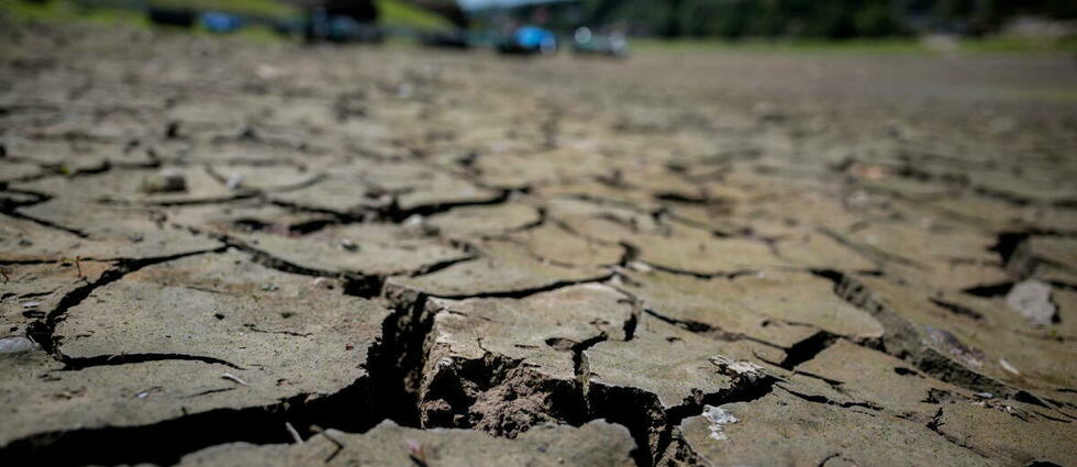 Juillet 2022 pourrait être le mois de juillet le plus sec depuis 1959