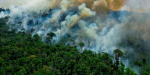 En Amazonie aussi, les incendies battent des records