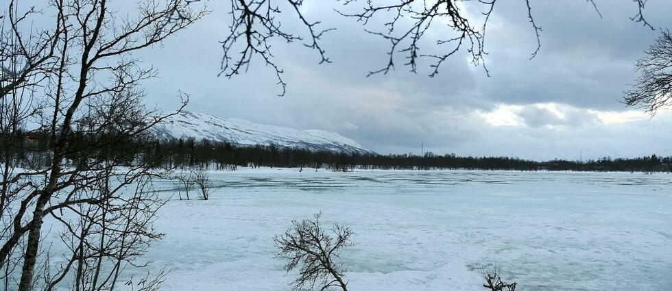 Arctique : des virus géants retrouvés dans un lac
