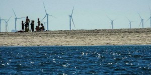 « Le début du chemin » : Macron inaugure le premier parc éolien en mer