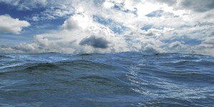 La pollution sonore met en péril l’équilibre des milieux marins