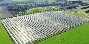 « C’est le Far West » : le solaire met le monde agricole en ébullition