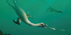Une nouvelle espèce de dinosaure semi-aquatique découverte