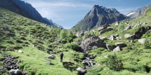 « Pyrénées secrètes » : un documentaire animalier d’un nouveau genre