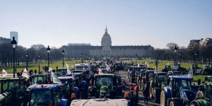 Néonicotinoïdes : 500 tracteurs à Paris pour protester contre leur interdiction