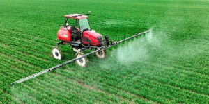Biodiversité et pesticides : des ONG veulent faire condamner l’État