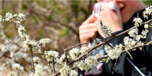 Pollen : pourquoi la saison des allergies est plus longue et touche plus de monde