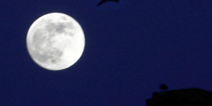 Qu’est-ce que la super lune du cerf, observable ce lundi soir ?