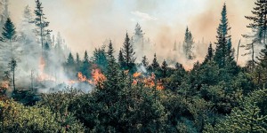 Canada : les feux de forêt engendrent un record d’émissions de carbone