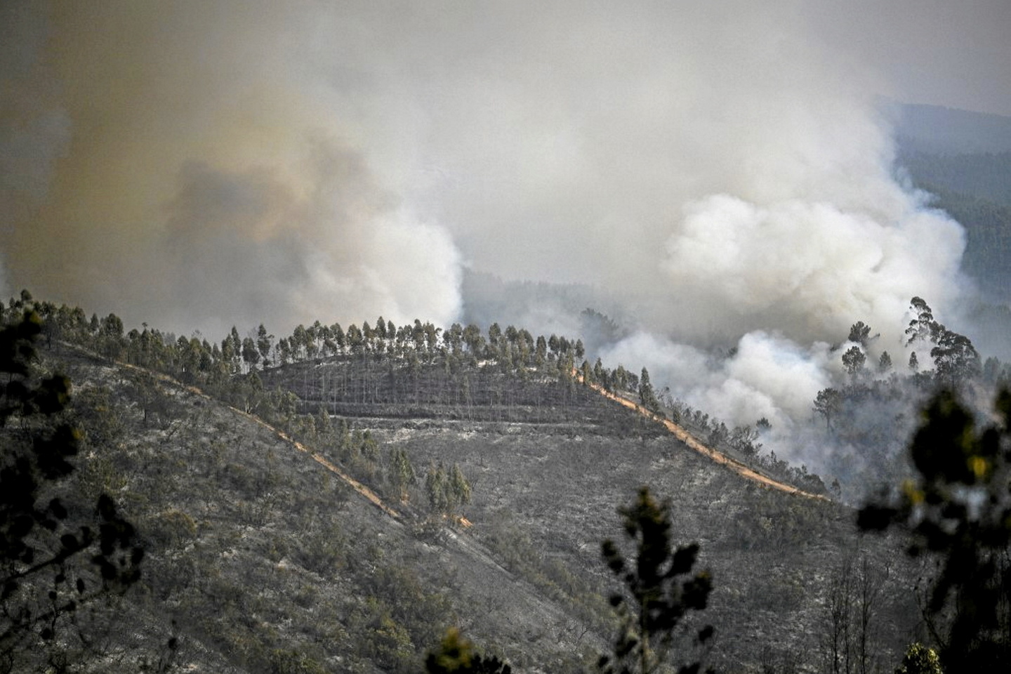 Canicule : l’Espagne de nouveau frappée, le Portugal espère une accalmie face aux incendies