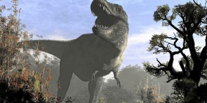 Paléontologie : deux nouveaux types de dinosaures découverts au Maroc
