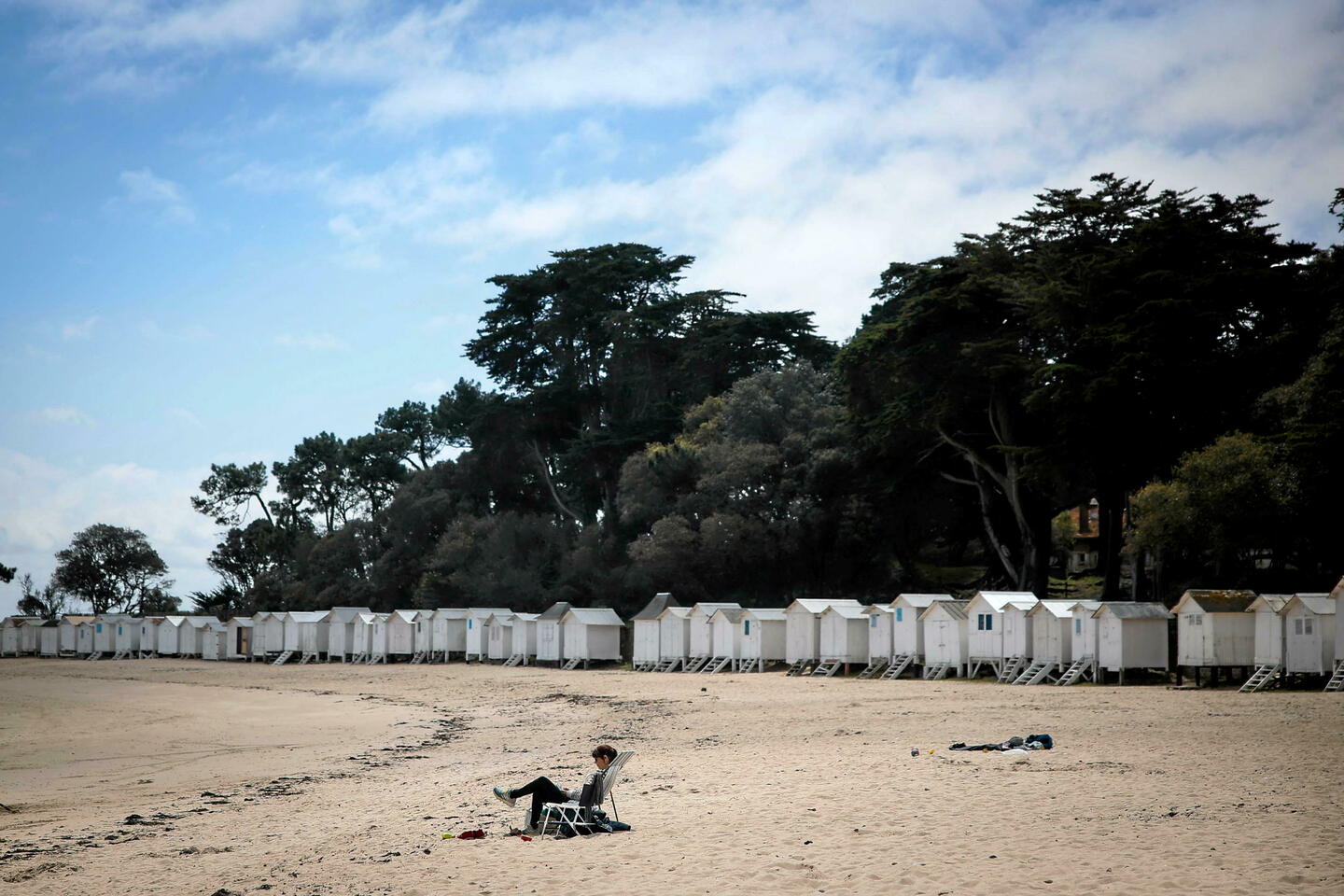 Plusieurs plages de Vendée fermées à cause d’une invasion de fourmis volantes