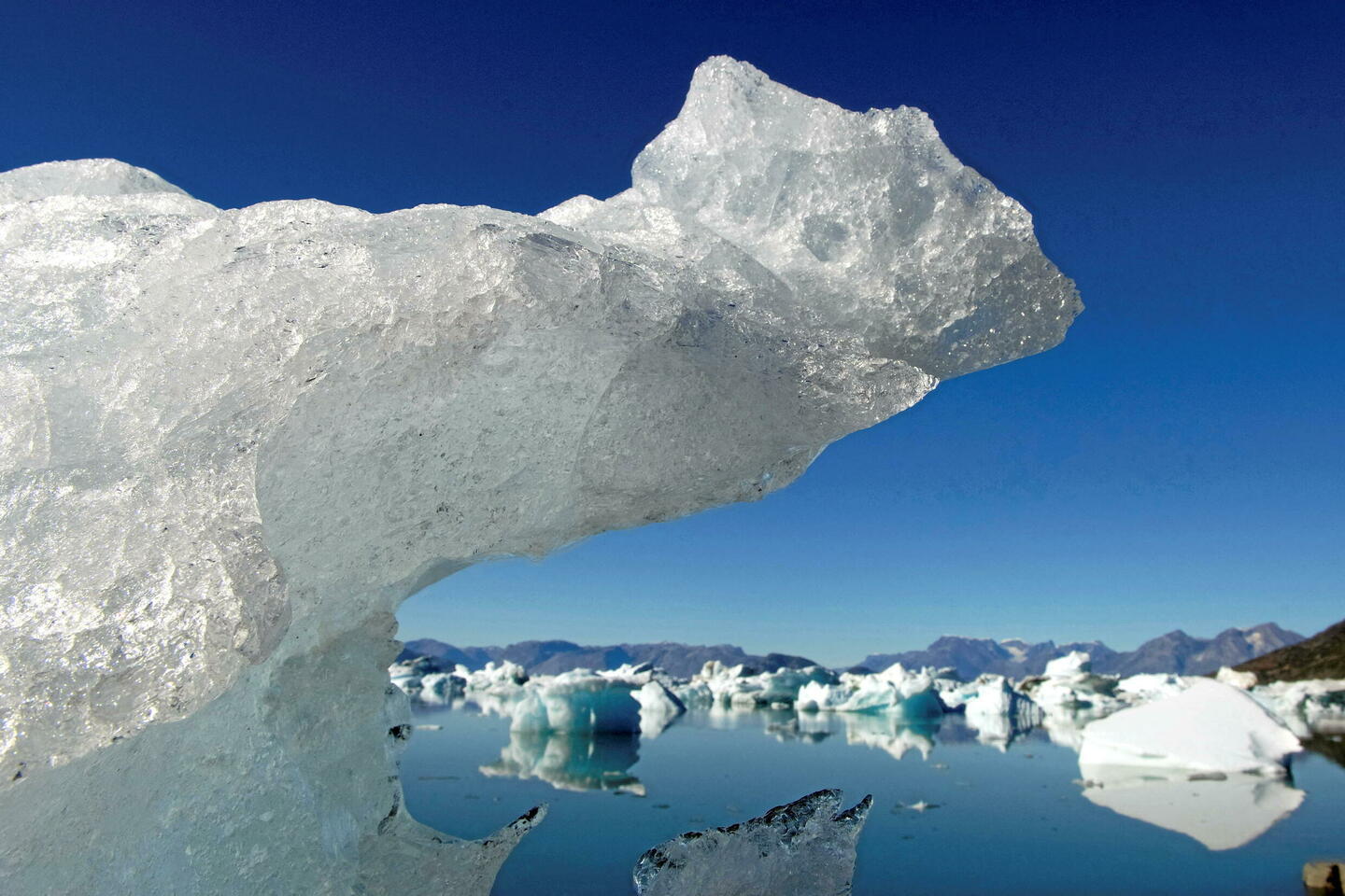 L’Arctique a connu en 2023 l’été le plus chaud jamais enregistré