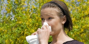 Allergies : vigilance rouge aux pollens dans plus des trois quarts de la France