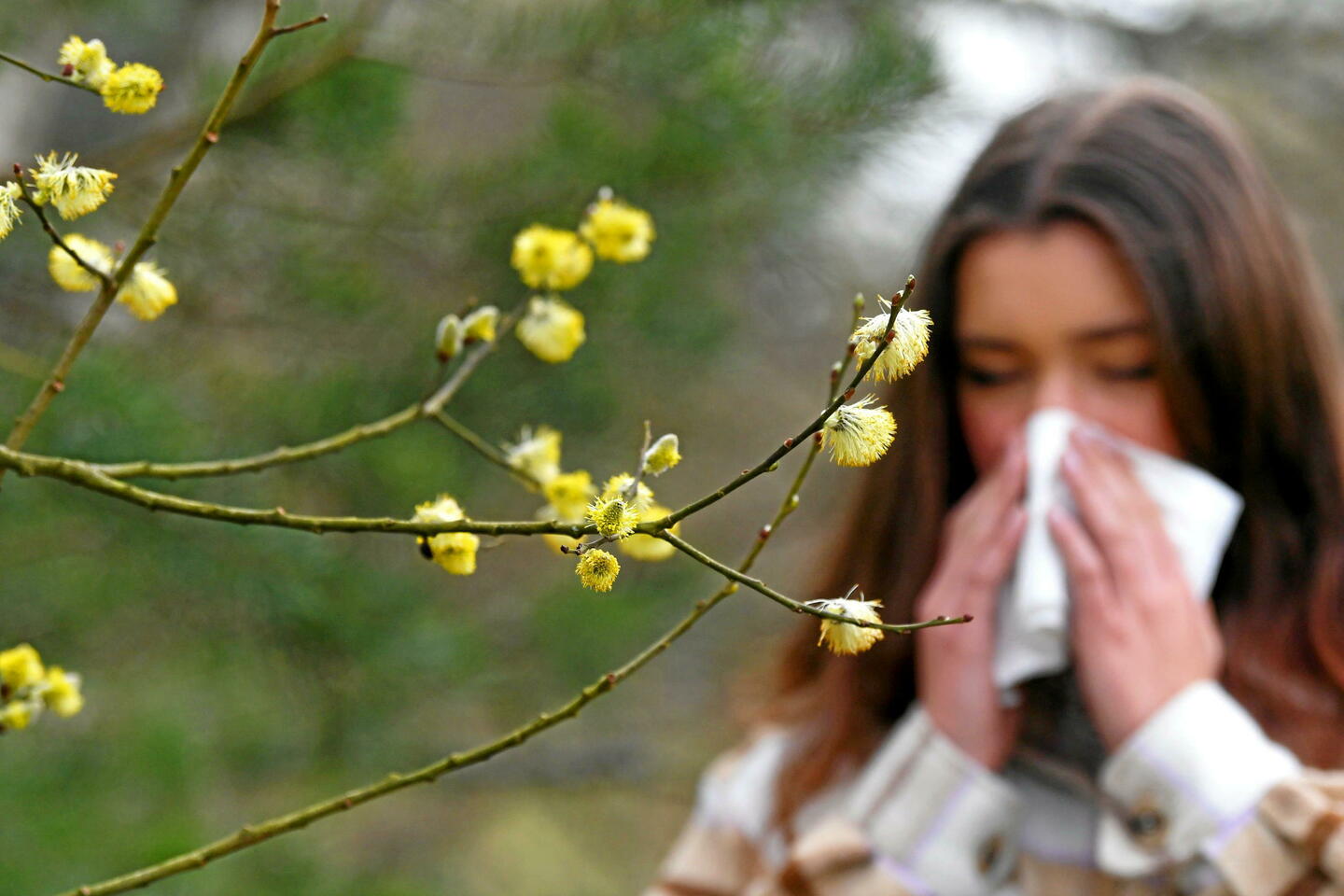 Changement climatique : les pollens déjà de retour, neuf départements en vigilance rouge