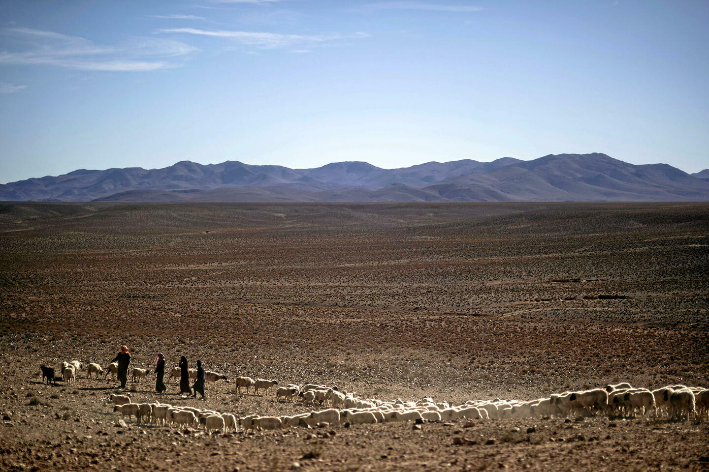 Climat : nouvelle vague de chaleur au Maroc, 37,7 °C relevés à Agadir en plein mois de mars