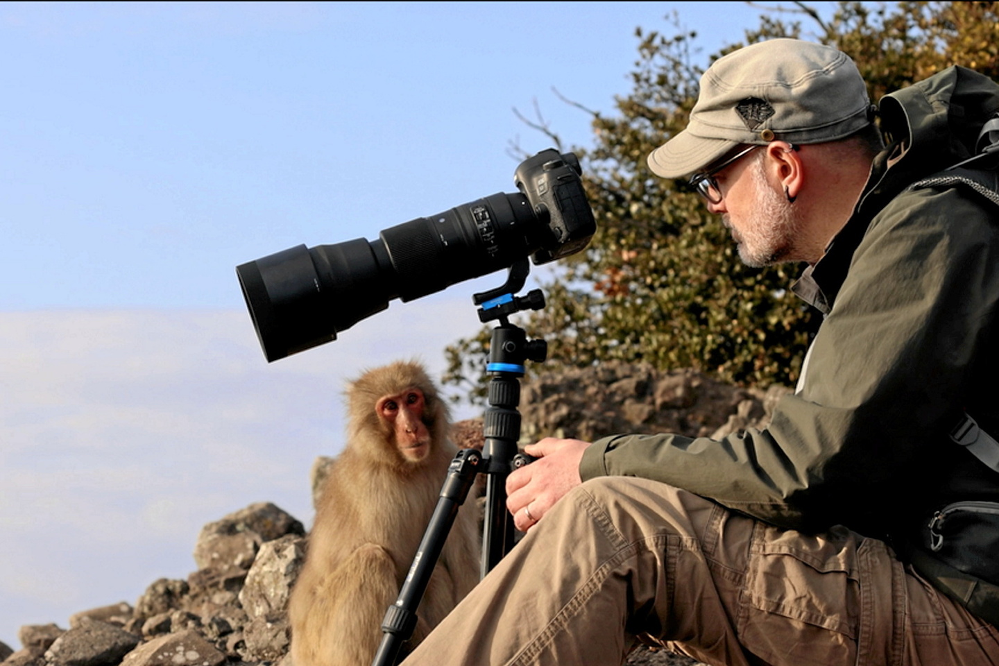 Les incroyables aventures d’un primatologue