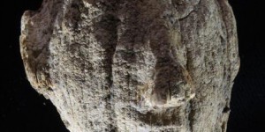 « Importante » découverte d’une tombe et sa momie vieilles de 5 600 ans