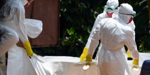 Ebola : 20.000 cas début novembre si rien n’est fait pour renforcer les contrôles