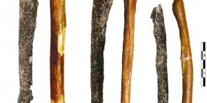 Découverte en Normandie d’os humains attribués à la lignée Néandertal