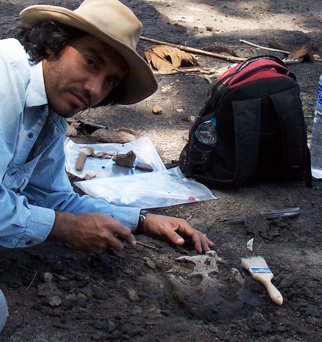 Pérou: des fossiles de crocodiles vieux de 13 millions d’années découverts en Amazonie 