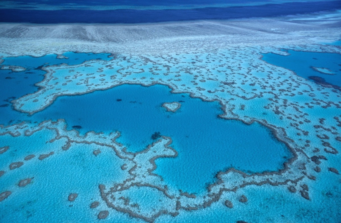 La crème solaire endommage les récifs coralliens 