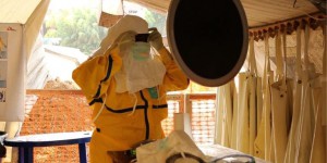 Le virus Ebola pourrait persister dans le sperme d’anciens malades 
