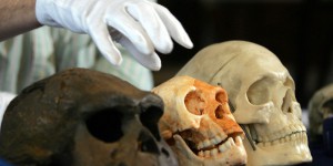 Découverte de l’ancêtre probable, âgé de 700.000 ans, de l’homme de Florès  