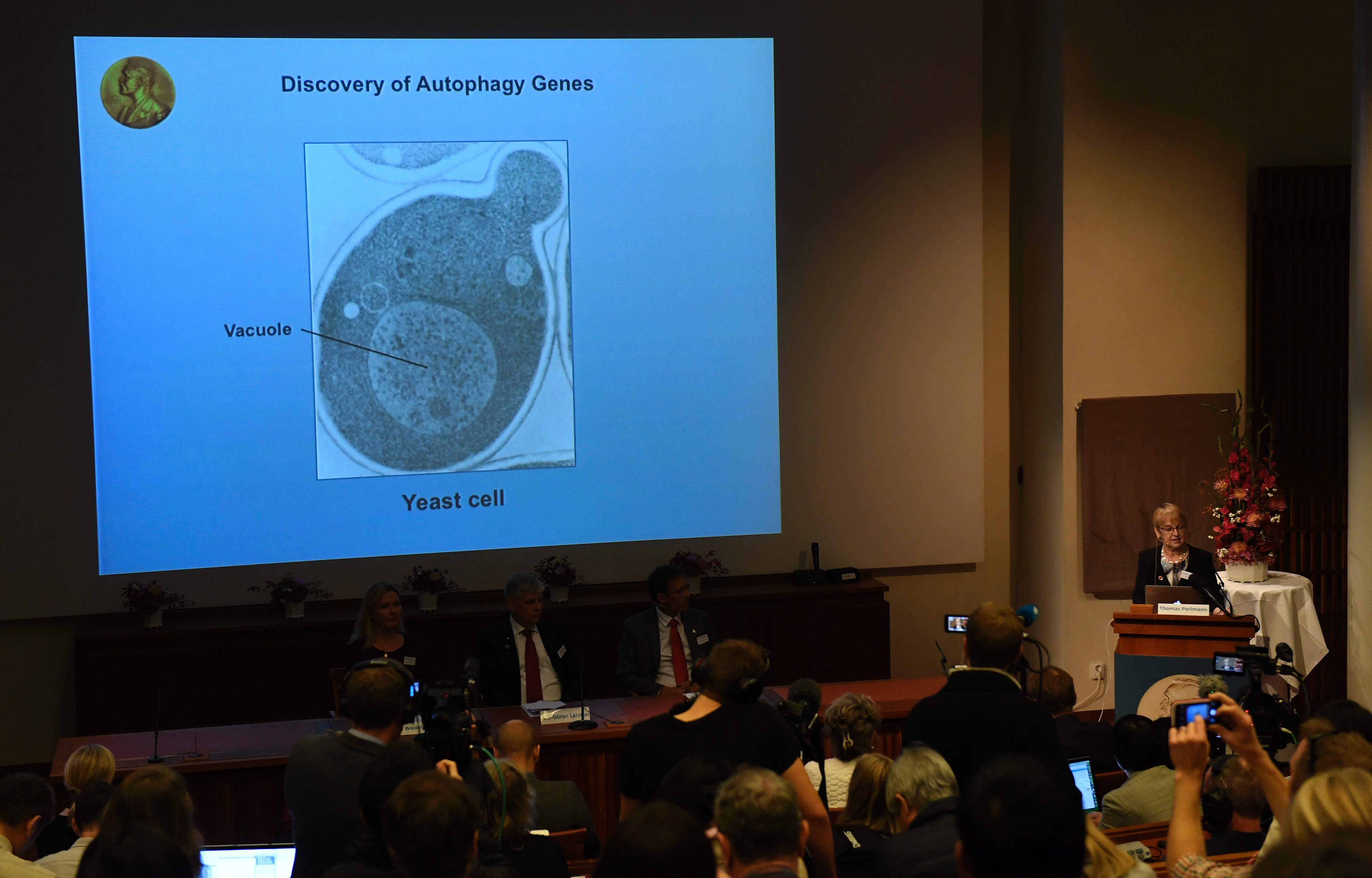 Le Nobel de médecine 2016 au Japonais Yoshinori Ohsumi pour ses recherches sur l’autophagie  