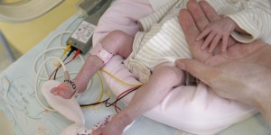 Un bébé conçu par une nouvelle technique de FIV à «trois parents» 