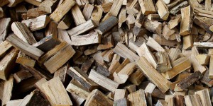 La biomasse domine le renouvelable 