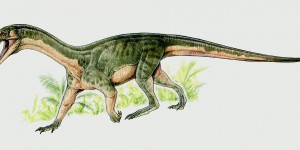 Les ancêtres des dinosaures ressemblaient à des crocodiles 