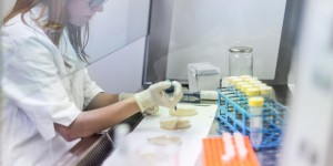 Des chercheurs de l’UCL enregistrent une avancée majeure dans la recherche sur les bactéries 