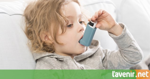 Bientôt de nouveaux traitements pour l’asthme, grâce à des chercheurs liégeois 
