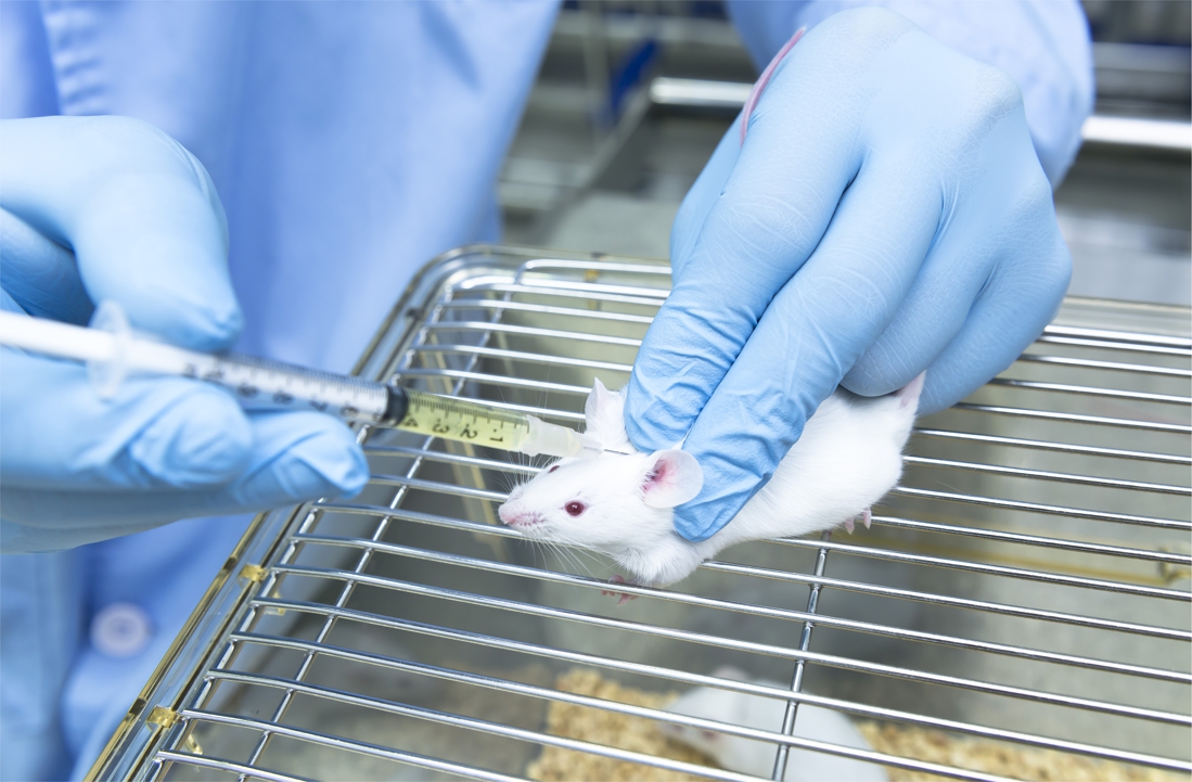 INFOGRAPHIES | Expérimentations animales: «Encore trop de tests inutiles» 