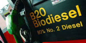 Biodiesel : le nouveau scandale de l’huile de palme
