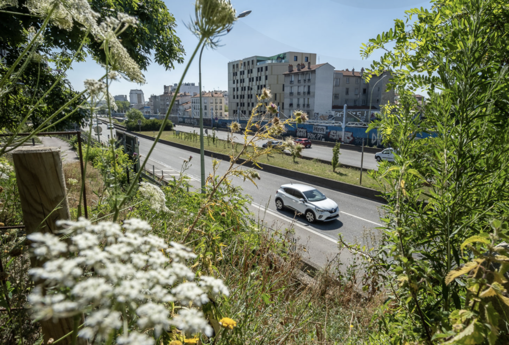 Baisse des limitations de vitesse, stationnement : le plan de Paris pour réduire la pollution automobile
