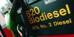 Biodiesel : l’Europe s’inquiète d’une concurrence chinoise déloyale