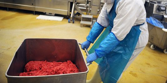 Viande de cheval : Nestlé nouvelle victime collatérale en France