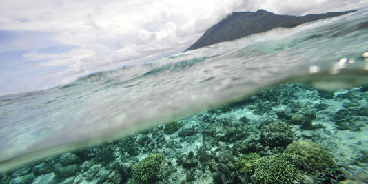 A Ajaccio, une vingtaine de pays appellent à préserver d'urgence la biodiversité marine