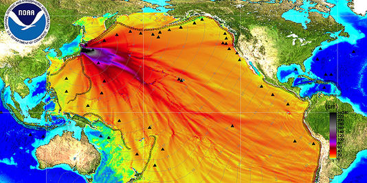 Le Pacifique massivement contaminé par Fukushima ?