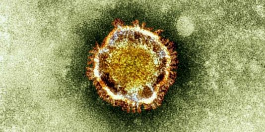 Nouveau cas probable de coronavirus en France