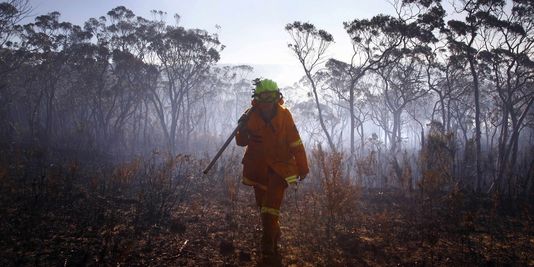 En Australie, le ministre de l'environnement, les incendies et Wikipedia