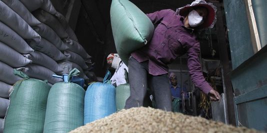 Le climat favorise les récoltes, les prix alimentaires reculent
