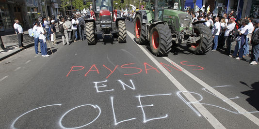 Nouvelle journée de mobilisation des agriculteurs franciliens