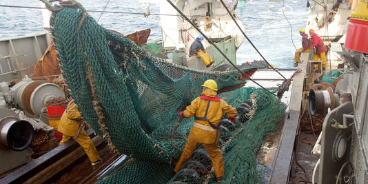Pourquoi la pêche profonde est accusée