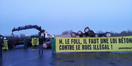 Greenpeace « saisit » du bois illégal sur le port de Caen